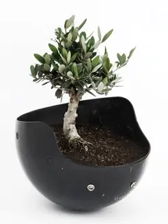 Grand Hotel Tremezzo Gazette 4 Sandro Mele ART. 21, 2018