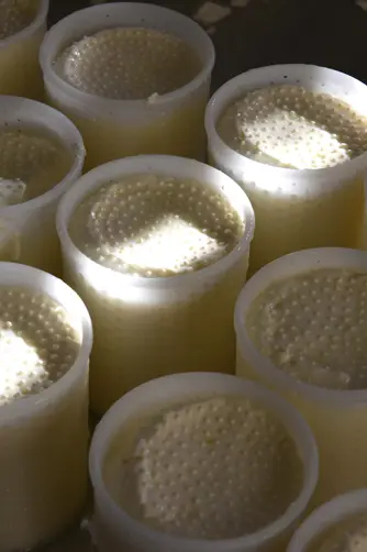 Grand Hotel Tremezzo Gazette 2 Testo