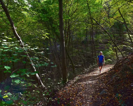 Grand Hotel Tremezzo Gazette 01 Copertina