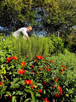 Grand Hotel Tremezzo Gazette IMG 0908