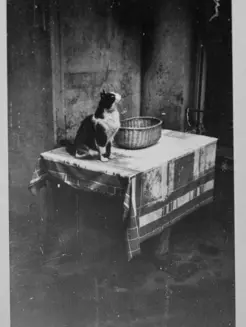 Grand Hotel Tremezzo Gazette GHT 27 10 7