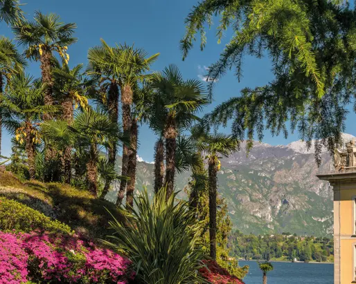 Grand Hotel Tremezzo Gazette Nel Regno Dei Rododendri (1) 02