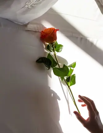 Grand Hotel Tremezzo MG 3419