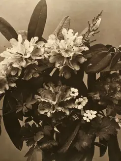 Grand Hotel Tremezzo Gazette Nel Regno Dei Rododendri (1) 01