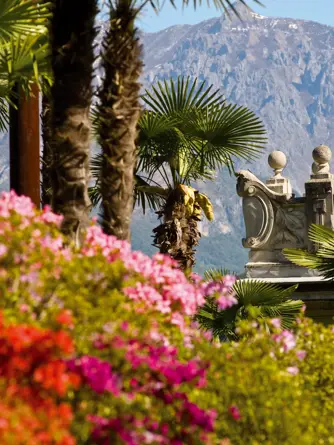 Grand Hotel Tremezzo Gazette Nel Regno Dei Rododendri (4)