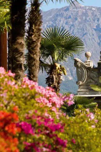 Grand Hotel Tremezzo Gazette Nel Regno Dei Rododendri (4)